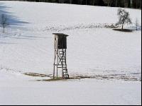 Hochstand 4