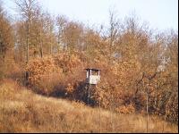Hochstand 12