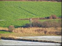 Hochstand 5