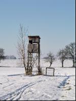 Hochstand 3