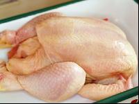 Huhn 1