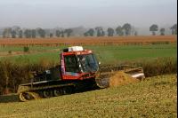 Maissilage J 4