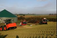 Maissilage J 3