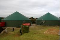 Maissilage J 1