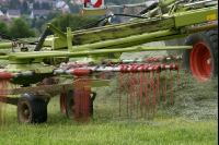 Gras Schwaden J 1