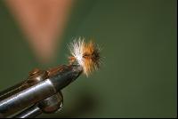 Fliegenbinden 5