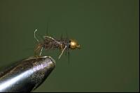Fliegenbinden 9