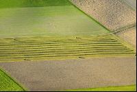 Schwad Luft 8