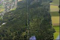Strasse durch Wald
