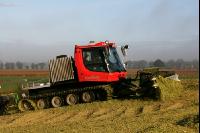 Maissilage J 11