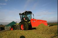 Maissilage J 10