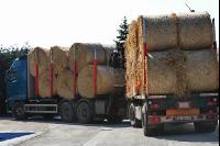 Rundballen Transport