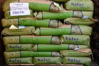 Hafer Saatgut 1