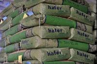Hafer Saatgut 2