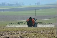 Mustard total herbicide 12