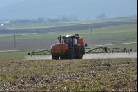 Mustard total herbicide 13