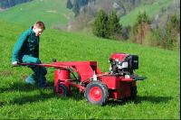 Ampfer Wurzelzieher 1