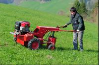 Ampfer Wurzelzieher 7