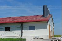 Legehennen Halle 1