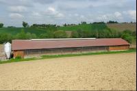 Schweinestall 12