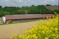 Schweinestall 13