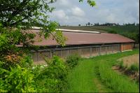 Schweinestall 14