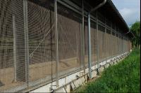 Schweinestall 18