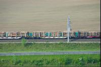 Zug Holztransport 1