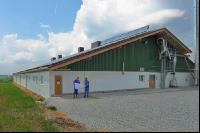 Bauplan Schweinestall 1