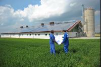 Bauplan Schweinestall 16