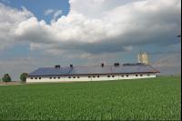 Schweinestall 28