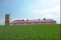 Schweinestall 31