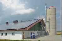 Bauplan Schweinestall 3
