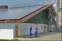 Bauplan Schweinestall 4