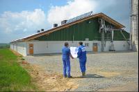 Bauplan Schweinestall 5