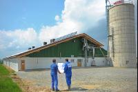 Bauplan Schweinestall 6