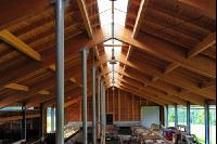 Braunvieh Laufstall 6