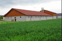 Schweinestall 24