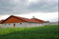 Schweinestall 25