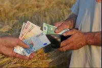 Finanzen Getreide 14