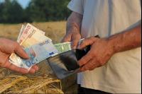 Finanzen Getreide 15