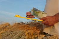 Finanzen Getreide 20