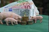 Finanzen Schweine 43