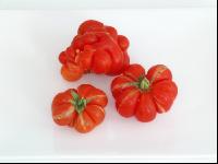 Reisetomate 2