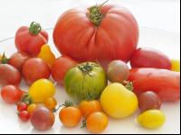 Tomatenvielfalt 10