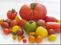 Tomatenvielfalt 9