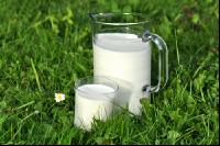 Trinkmilch 10