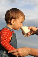 Trinkmilch 2