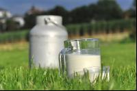 Trinkmilch 4