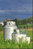 Trinkmilch 5